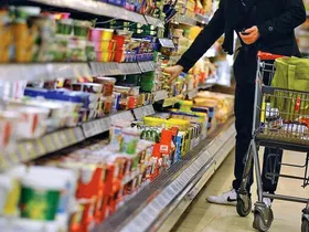 تسویه دولت با فروشندگان طرح کالابرگ طی چهار روز آینده