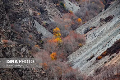 ایران زیباست | پاییز هزار رنگ در روستای «شیت»