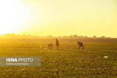 ایران زیباست | طلای سرخ نیشابور