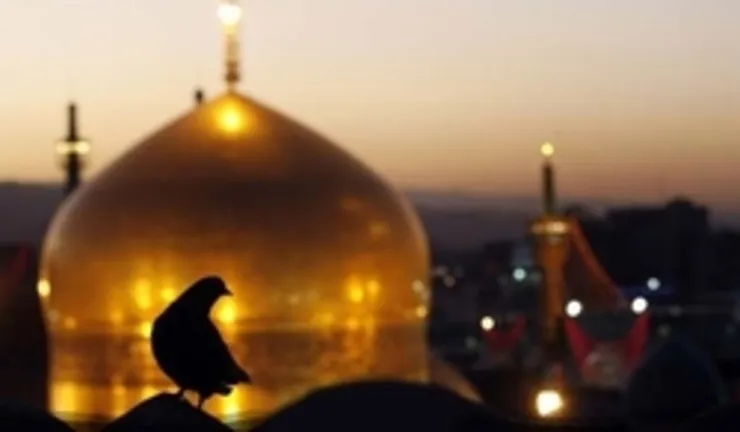 توصیه رهبر معظم انقلاب برای خواندن صلوات خاصه امام رضا (ع)
