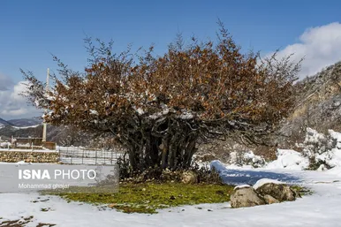 ایران زیباست | زمستان روستای ییلاقی بالا چلی
