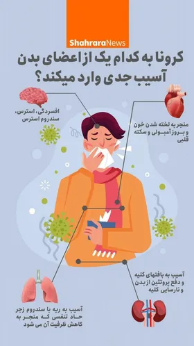 اینفوگرافی| کرونا به کدام اندام&zwnj;ها آسیب جدی میزند؟