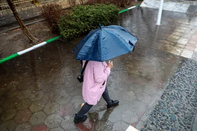 بارش باران در مشهد