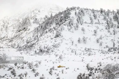 ایران زیباست | گلستان برفی