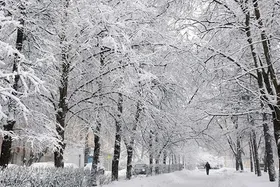 ویدئو | بارش اولین برف پاییزی در تهران (۱۹ آذر ۱۴۰۳)