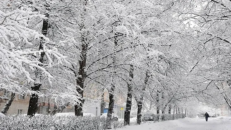 بارش شدید تگرگ در روزهای گرم تابستان + فیلم