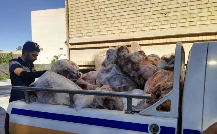 یک تن گوشت فاسد در سبزوار کشف شد