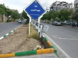 درخواست گل کاری در بلوار کشوری
