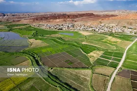 گزارش تصویری | رونق کشت برنج در حاشیه رودخانه قزل اوزن