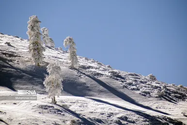 ایران زیباست | گلستان برفی