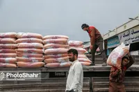 واردات ۶۳۰ میلیون دلاری برنج هندی به کشور در ۹ ماه