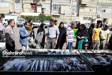 بازار ماهی فروشان در شهرک عرب‌های مشهد