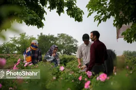 خراسان رضوی مجدد بارانی می&zwnj;شود | کاهش دما و بارش شدید باران در آخر هفته (۲۰ اردیبهشت&zwnj;ماه ١۴٠٢)&nbsp;