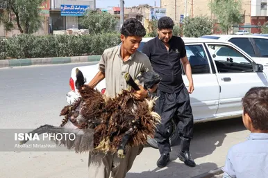 گزارش تصویری | عید قربان در زاهدان