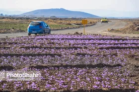 ۵۵ درصد از زمین&zwnj;های کشاورزی خراسان&zwnj;رضوی سنددار شد | سنددار کردن این اراضی تا ۱۴۰۳ پایان می&zwnj;یابد