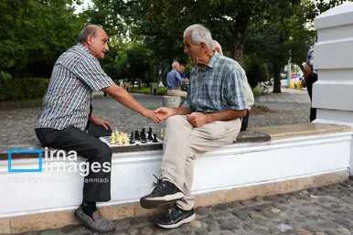 گزارش تصویری | شطرنج بازان سبزه میدان
