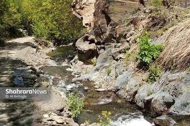 طبیعت زیبای روستای کردینه در حوالی مشهد