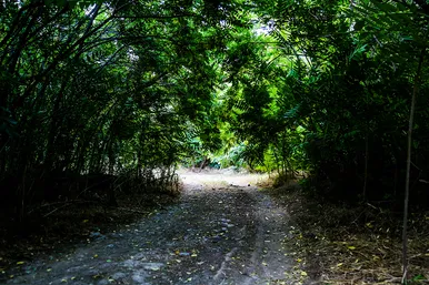 طبیعت پارک ملی تندوره