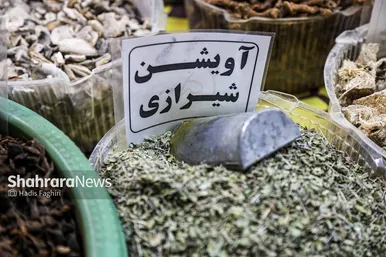 گزارش تصویری | نمایشگاه ویژه عرضه اقلام پاییزه در مشهد