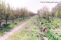 «نخودک»؛ مشهور ناشناخته! | مروری بر سرگذشت ناگفته محله‌ای قدیمی و معروف در مشهد که امروز دیگر رد و نشانی از آن نیست