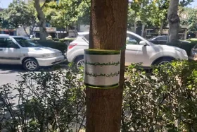 برگزاری پویش &laquo;نذر من&raquo; برای پاکیزگی مسیر زائران امام رضا(ع) در روز&zwnj;های پایانی ماه صفر ۱۴۰۵