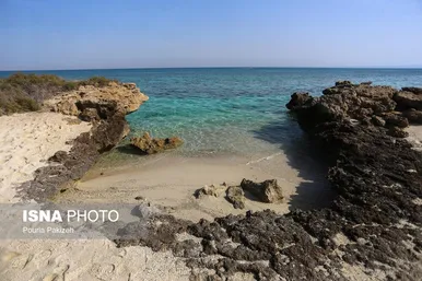 ایران زیباست | جزیره «مارو» در دل خلیج فارس