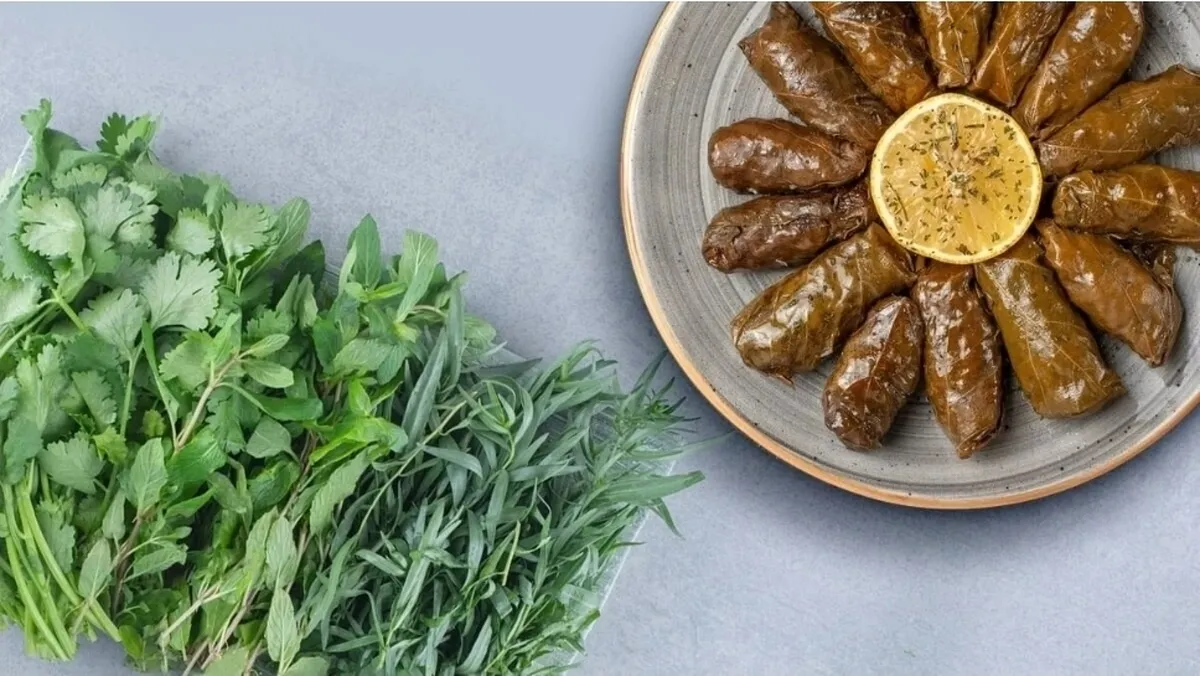 خانه داری| ترکیب سبزی در انواع دلمه باید چقدر باشد؟