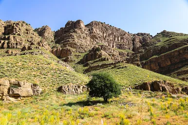 طبیعت پارک ملی تندوره