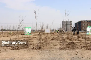 مراسم روز درختکاری در مشهد