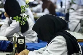نگاه دولت و مجلس به زنان در تدوین و اجرای سیاست&zwnj;های حمایتی، تشریفاتی است