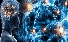 راهکار&zwnj;های ساده طب سنتی برای درمان ام اس