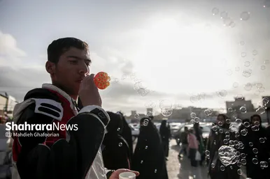 بازار گل مشهد در آستانه سال نو