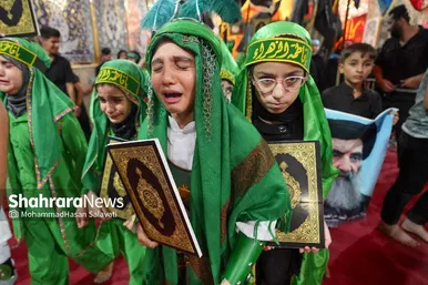 اربعین حسینی در کربلای معلی (۲)