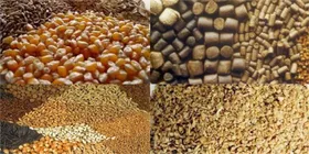 نه به توزیع قطره چکانی نهاده&zwnj;های دامی