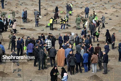 پویش سراسری درخت‌کاری در بوستان جهانشهر