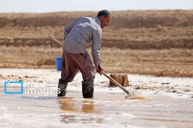 گزارش تصویری | برداشت نمک در دل کویر