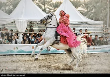 دومین فستیوال کشوری اسب اصیل ایرانی در بوشهر