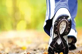 ده دقیقه پیاده روی کنید و بیشتر زنده بمانید