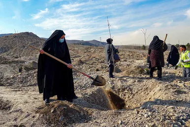 مراسم کاشت نهال توسط بانوان شهر