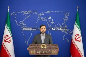 اظهارات سخنگوی وزارت خارجه درباره اهمیت تشکیل سازمان مهاجران