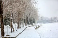 ویدئویی از برف یک متری در ارومیه + فیلم (۱۹ بهمن ۱۴۰۳)
