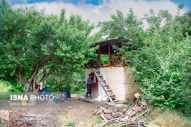 ایران زیباست | برداشت گیلاس در روستای بندبن