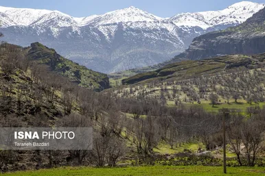 ایران زیباست | مخمل کوه در گستره زاگرس - لرستان