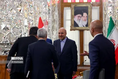 عکس‌هایی از دیدارهای رئیس مجلس با میهمانان خارجی مراسم تحلیف