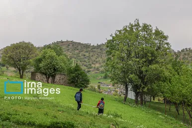 گزارش تصویری | معلم دهکده