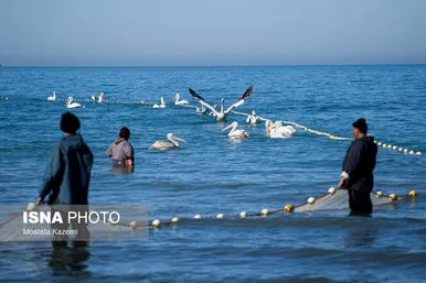 ایران زیباست؛ استان مازندران