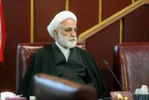 رئیس کمیسیون حقوقی و قضایی مجمع تشخیص انتخاب شد