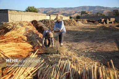 گزارش تصویری | جاروبافی در روستای ملاحسن