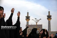 ویدئو| چهارپایه خوانی روز شهادت پیامبر خاتم(ص) و امام حسن مجتبی(ع) در حرم مطهر رضوی