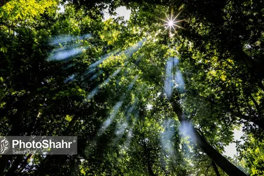 طبیعت «کلاته آهن»، روستایی زیبا در حوالی مشهد
